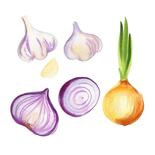 Patroongroenten Aubergine Tomaten Paprika Uien Zoete Erwten Aquarel Tekening Een — Stockfoto