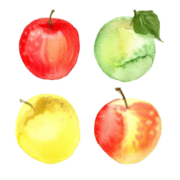 Jabłka Malowane Akwarelami Białym Papierze Kolorowy Szkic Owoców — Zdjęcie stockowe