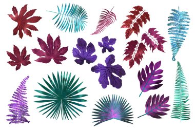 Neon tropikal palmiye yaprakları, canavar, eğreltiotu. 