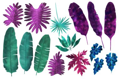 Neon tropikal palmiye yaprakları, canavar, eğreltiotu. 