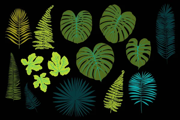 Tropical Leaves Neon Watercolor Black Ferns Fitter Fan Palm Bright — Stock Photo, Image