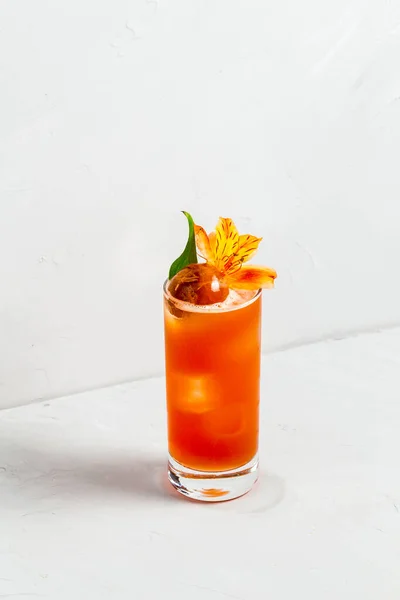Апельсиновые фрукты вкусный коктейль в хайбол — стоковое фото