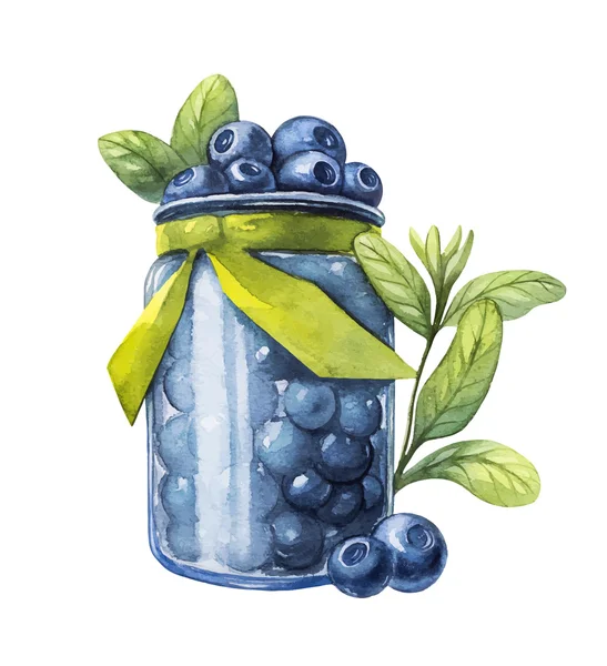 Blueberry. Ilustrasi botani warna air. Botol kaca . - Stok Vektor