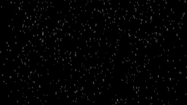Buborékok a fekete háttér — Stock videók