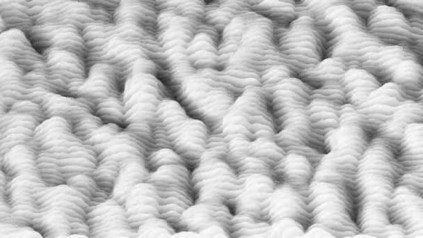 La texture de l'intestin. La pulsation douce des éléments blancs forme des plis ascendants et descendants. boucle transparente . — Video