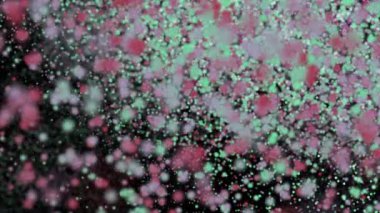 renkli parçacıklar bir makro düzeyde. sorunsuz döngü.