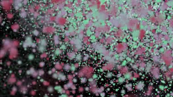 Particules colorées au niveau macro. boucle transparente . — Video