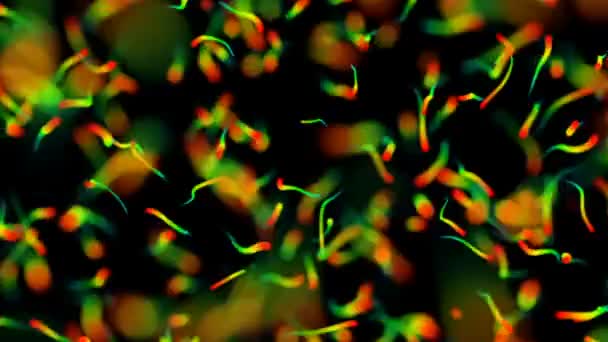 De geboorte van gekleurde deeltjes. biologische bewegingen. diepte van het veld. — Stockvideo