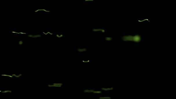Agréable mouvement horizontal de lignes vertes — Video