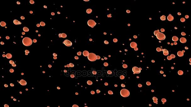 Вертикальное движение клеток крови. кинематографический фон. 3d анимация. бесшовный цикл . — стоковое видео