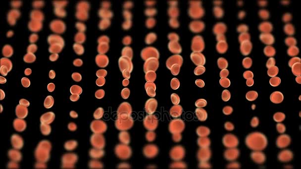 Profundidad de cuadrícula de las células sanguíneas de campo. fondo cinematográfico. animación 3d. bucle sin costura . — Vídeos de Stock