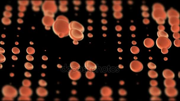 Las células de la sangre pulsan y desaparecen. El fondo cinematográfico es la animación 3d. bucle sin costura . — Vídeo de stock