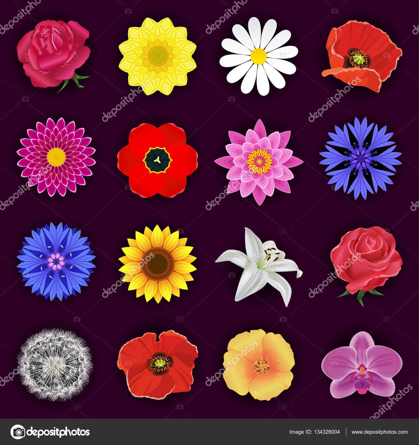 Big set of spring or summer flowers isolated Stock Vector Image by ...