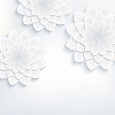 3B çiçek papatya ile tebrik kartı