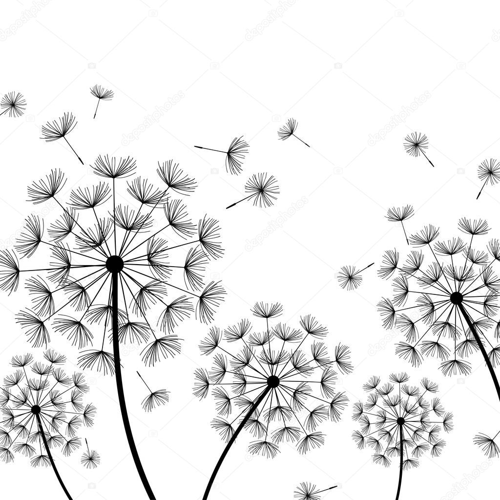 White background with stylized black dandelions