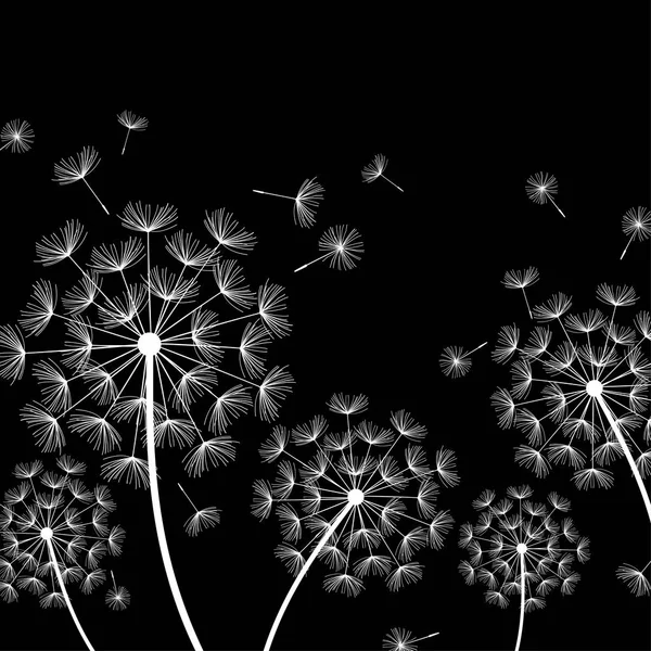 Black background with stylized white dandelions — Stock Vector
