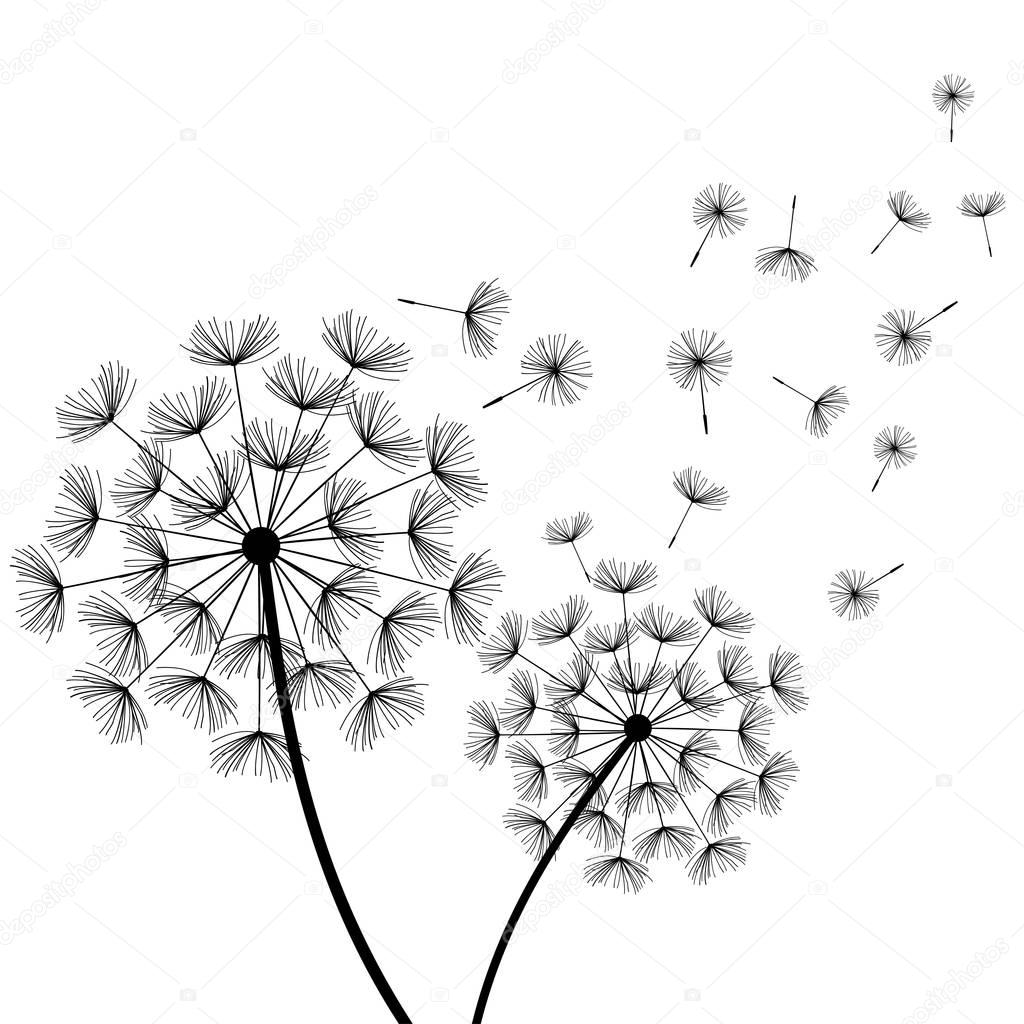 White background with stylized black dandelions