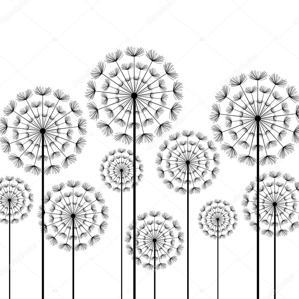 Black stylized dandelions on white background