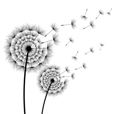 İki stilize çiçek dandelions beyaz üzerinde