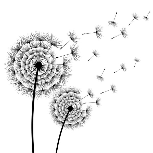 Два стилизованных цветочных одуванчика над белым
