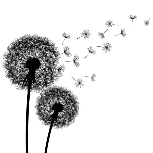 Nature background with dandelion silhouette Stock Vector