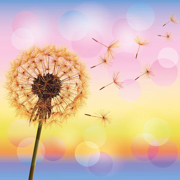 Dandelion on background of sunset Royalty Free Stock Vectors