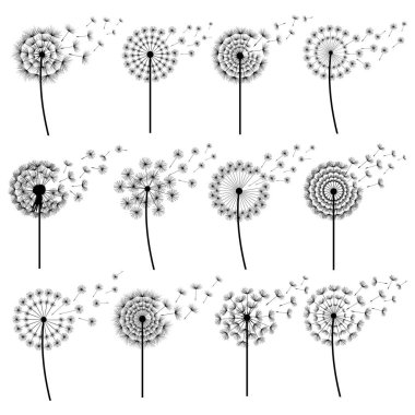 Stilize dandelions izole üfleme kümesi