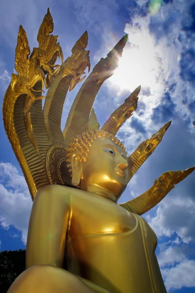 Buddha s oblohou — Stock fotografie