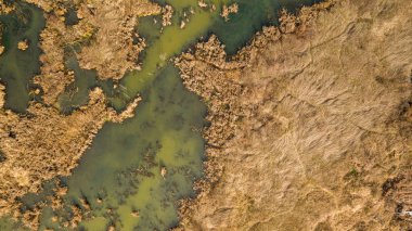 Etrafında kuru otlar olan kirli bataklığın havadan görünüşü. Doğal manzara arka planı. Soyut desenli yüzey.