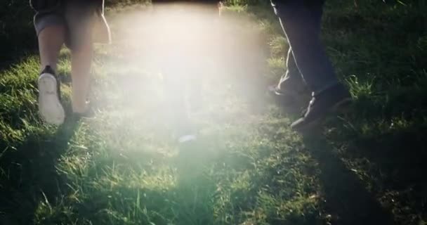 Famiglia felice Padre, Madre e bambino che corrono attraverso il campo sullo sfondo del tramonto. Famiglia sana e gioiosa con figlio che si tiene per mano e corre, godendo della natura all'aperto. Al rallentatore. 4k . — Video Stock