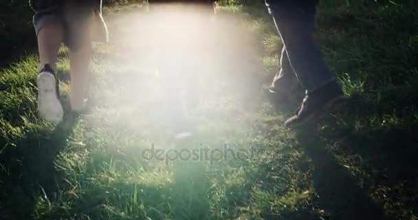 Famille heureuse Père, Mère et petit garçon courant à travers le champ sur fond de coucher de soleil. Famille joyeuse saine avec fils tenant la main et courant, profitant de la nature à l'extérieur. Au ralenti. 4k . — Video