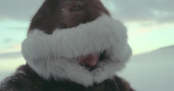 Ritratto dell'avventuriero in giacca tradizionale di renna con cappuccio in pelliccia. È nevoso e ventoso. Girato su RED Cinema Camera in 4K. HD — Video Stock