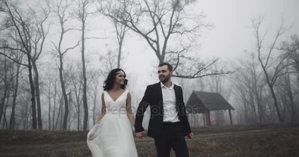 Boldog menyasszony és a vőlegény menni, és tartsa a kezét, majd csókot, lassú mozgás 4k — Stock videók