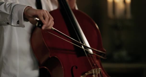 ヴァイオリニストは、ロマンチックなダイナー 4 k で美しく再生します。手詳細 — ストック動画