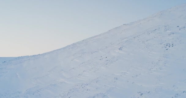 Aerial Footage Arctic Tundra. Rekaman udara yang menakjubkan dari tundra Arktik yang luas dan terpencil. Pegunungan yang curam menutupi medan. 4k . — Stok Video