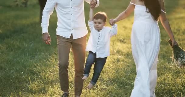 La giovane famiglia di tre persone che cammina per il campo. Il ragazzo è cresciuto dai genitori. La moglie è incinta del suo secondo figlio. 4k — Video Stock