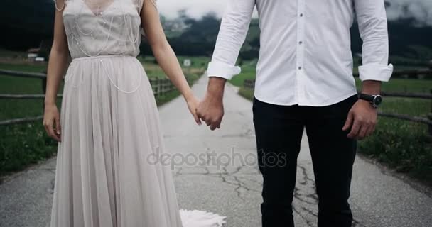 クローズ アップ若いカップルのロマンチックな服を着て、各他の背景の素晴らしい自然の景色の手をつないでる — ストック動画
