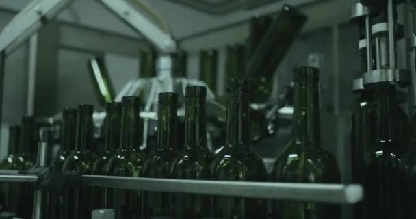 Vinproduktion, automatiserade vin buteljering transportband — Stockvideo