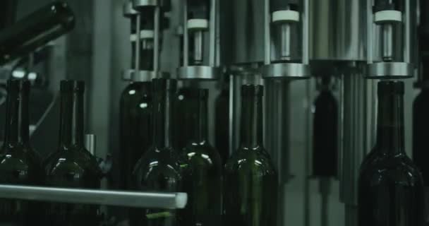 Long conveyor with wine bottles moving then filling bottles with wine. red epic — Stock Video