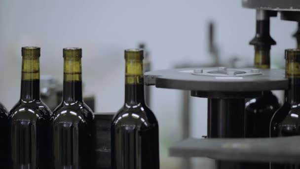 Transportador de botellas de vino, moviéndose en la línea . — Vídeo de stock