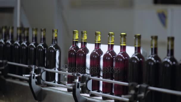 Un montón de botellas de vino moviéndose en la línea transportadora — Vídeo de stock