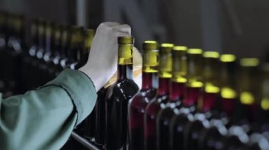 Konveyör satırındaki şarap fabrikası insan çalışma.