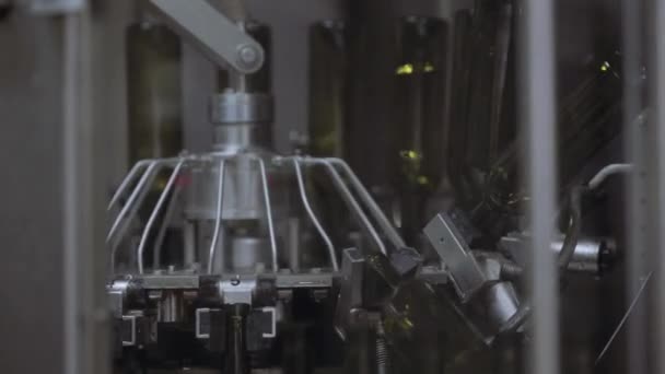 Автоматичний конвеєр, що переміщує скляні пляшки . — стокове відео