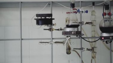 Şarap laboratuvar, şarap test süreci. 4k