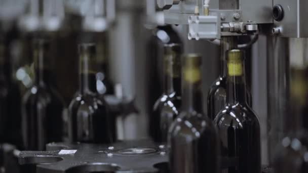 Proceso de tapado de la fábrica de vino . — Vídeos de Stock