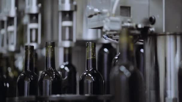 Le convoyeur automatique montre le processus de bouchage des bouteilles de vin . — Video