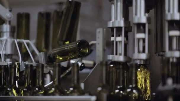 Filling process of wine bottles from the conveyor — Stock Video