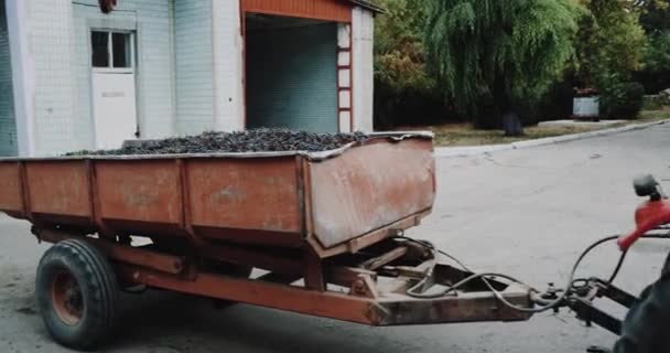 Truck loaded with fresh picked grapes on the winery s territory. — Stock Video