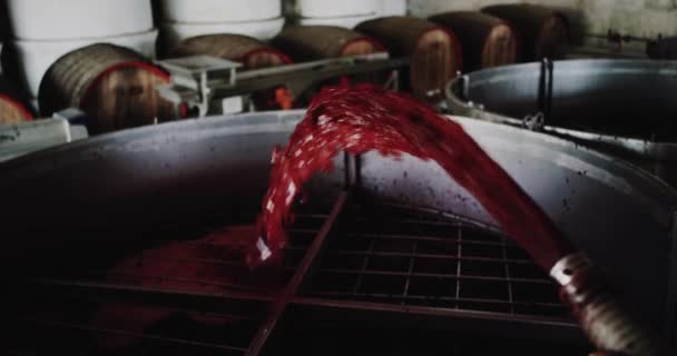 Primo piano vino rosso che esce dalla macchina speciale . — Video Stock