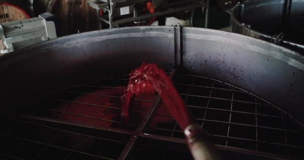 Primer plano un vino tinto que sale de una máquina de prensado industrial — Vídeos de Stock